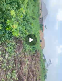 Land for sale Coca Road Ifo Ifo Ifo Ogun