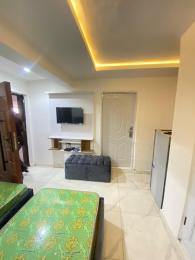 1 bedroom Flat / Apartment for rent Ikate Lekki Lagos