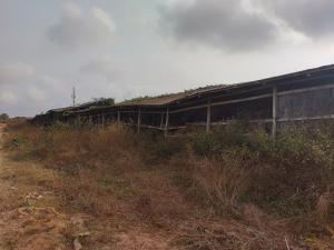 Land for sale Idi Iroko Near Abbeytech Road After Liberty Academy Akala Express Ibadan Oyo