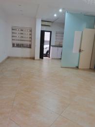 2 bedroom Flat / Apartment for rent In A Calm And Exclusive Neighborhood At Anifowoshe Ikeja Lagos Airport Road(Ikeja) Ikeja Lagos