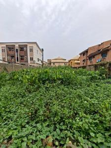 Land for sale St Cyril, Bayo Oyewole Ago palace Okota Lagos