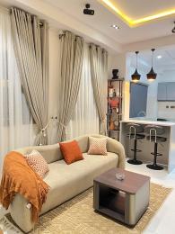 1 bedroom Flat / Apartment for shortlet Ikate Lekki Phase 1 Lekki Lagos