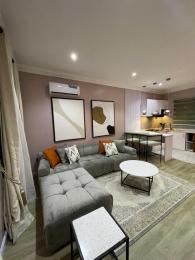 1 bedroom Flat / Apartment for shortlet Osborne Foreshore Estate Ikoyi Lagos