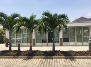 3 bedroom House for shortlet Maitama Maitama Abuja