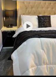 1 bedroom Flat / Apartment for rent Ikate Lekki Lagos