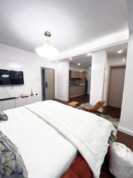1 bedroom Flat / Apartment for shortlet Lekki Phase 1 Lekki Lagos