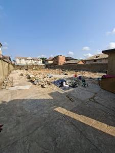 Land for sale Off Century Ago palace Okota Lagos