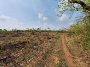 Land for sale Alabata Abeokuta Ogun