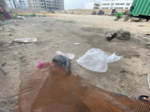 Land for sale Close To Blenco Lekki Lagos