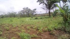 Land for sale Ngor Okpala Ngor-Okpala Imo
