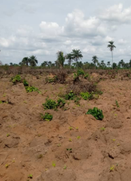 Land for sale Ivy Estate Warri South Lga Warri Delta