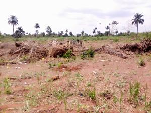 Land for sale Exclusive Distress Sales Of 500sqm Land Close To Novare Mall Monastery road Sangotedo Lagos