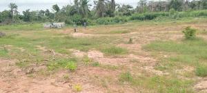 Land for sale Champions Colony Estate Tomoba Village Via Igboye Road, Epe Lagos