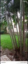 6 bedroom House for rent Lovely Enviornment Inside Ikeja Gra, Ikeja Lagos Ikeja GRA Ikeja Lagos