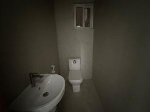 Flat / Apartment for rent Gbagada Phase 1 Gbagada Lagos