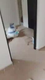 2 bedroom Flat / Apartment for rent Off Jonathan Coker Road New oko oba Abule Egba Lagos