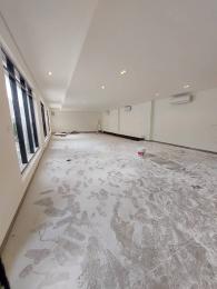 1 bedroom Commercial Property for rent   Old Ikoyi Ikoyi Lagos