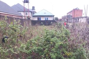 Land for sale Alakun Town By Nnpc Filling Station Before Eleko Ibeju-Lekki Lagos
