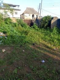 Land for sale Ekoro Junction, Abule Egba Lagos