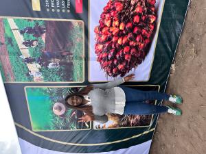 Land for sale Anigbado Lga, Abeokuta Abeokuta South Ogun