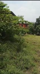 Land for sale Off Balogun Street Iju-Ishaga Agege Lagos