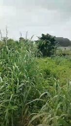 Land for sale Umuguma Owerri Imo