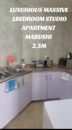 1 bedroom Flat / Apartment for rent Mabushi, Abuja Mabushi Abuja