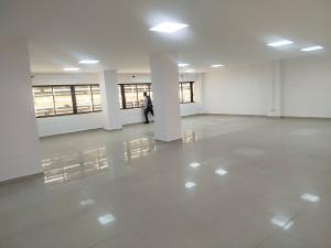 Commercial Property for rent Adeola Odeku Adeola Odeku Victoria Island Lagos