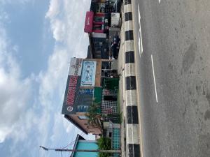Commercial Property for sale Adeniran Ogunsanya Street Adeniran Ogunsanya Surulere Lagos