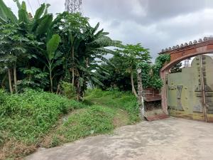 Land for sale Adeniyi Jones Ikeja Lagos