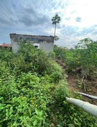 Land for sale Alapata Elewuro, Akobo Ibadan Oyo