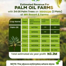 Land for sale Aiyepe Ijebu Odogbolu Ogun