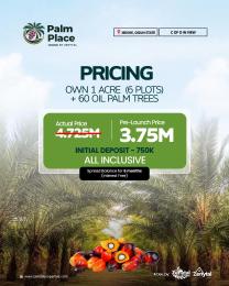 Land for sale Ibeshe Ogun State Obafemi Owode Ogun