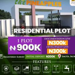 Land for sale Imota Ikorodu Ikorodu Lagos