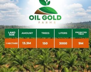Land for sale Sunset Plantation Alabata Abeokuta Ogun