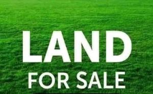 Land for sale Ifako-gbagada Gbagada Lagos
