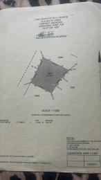 Land for sale Asokoro Abuja