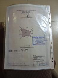 Land for sale Asokoro Asokoro Abuja
