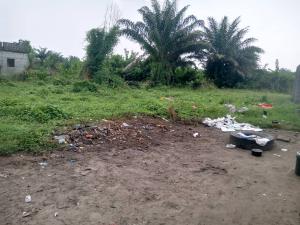 Land for sale Jehovah Witness Road, Bogije Ibeju Lekki, Sharing Fence With Kingdom Hall Lakowe Ajah Lagos