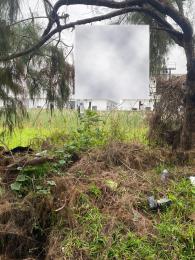 Land for sale Lekki County Road Ikota Lekki Lagos