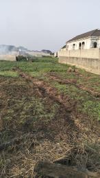 Land for sale Nechi Sabastine Street Bucknor Isolo Lagos