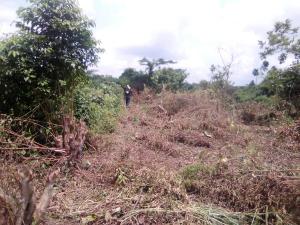 Land for sale Itori Town,9 Minutes Drive From Itori Junction Lagos Abeokuta Express Papalanto Ewekoro Ogun