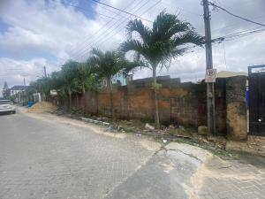 Land for sale Millenuim/UPS Gbagada Lagos