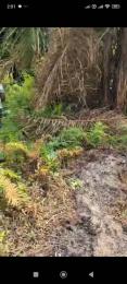 Land for sale Tigbo Ilu Ota-Idiroko road/Tomori Ado Odo/Ota Ogun