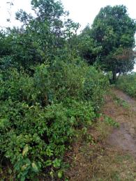 Land for rent .. Ikorodu Lagos