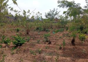 Land for sale Idishin Jericho, Idishin Ibadan Oyo