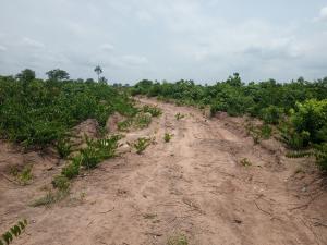 Land for sale Okwu Ogbaku Off Owerri Onitsha Express Road, Owerri Imo