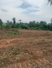 Land for sale Arowojeka Circular Road, Along Lagos Ibadan Expressway Ibadan Oyo