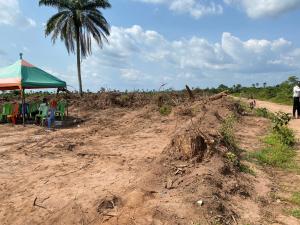 Land for sale Ejemekwuru Ogbaku Rd, Off Owerri Onitsha Expressway Owerri Imo
