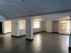 6 bedroom Commercial Property for rent Aguiyi Street Maitama Abuja